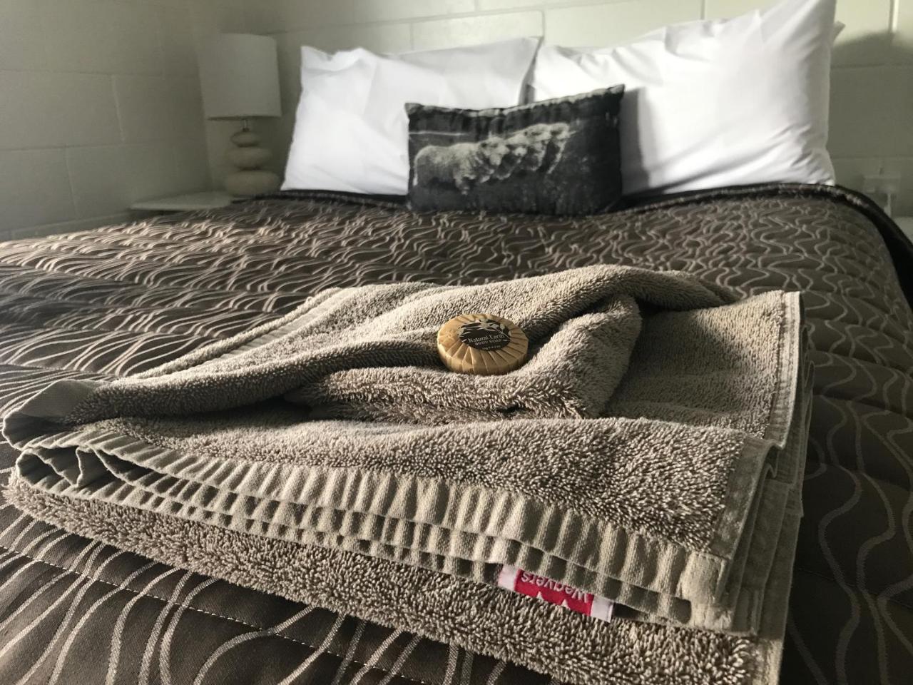 Mackenzie Motels Fairlie Kültér fotó